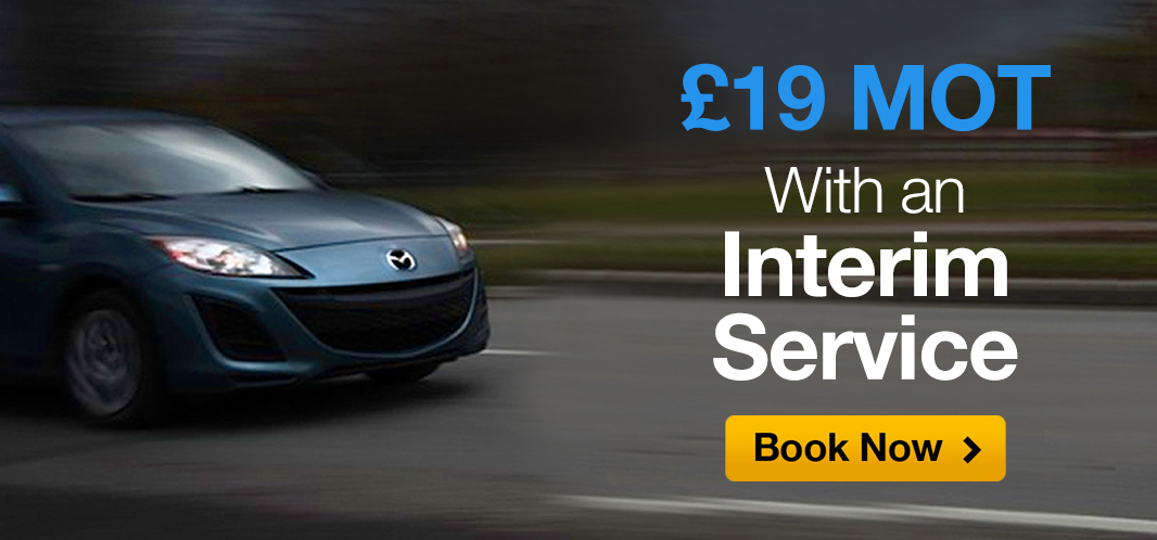 £19 Interim Service